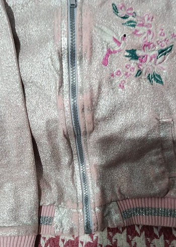 Nakışlı Fermuarlı Pembe Kız Çocuk Ceketi - Görsel 3