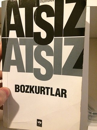 Bozkurtlar