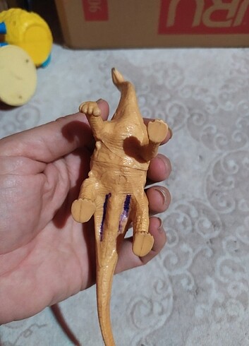  Dinozor