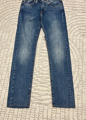 Levis Gri Tonlu Mavi Erkek Denim Pantolon