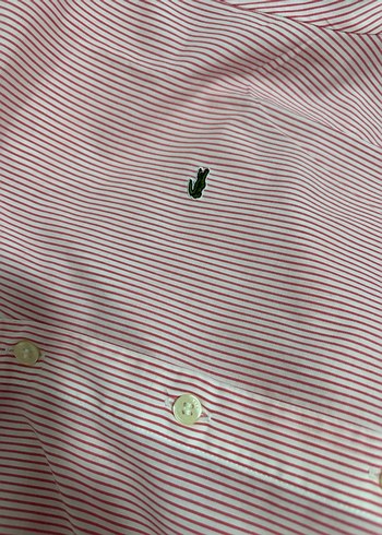 Lacoste pembe çizgili yeni gömlek - Görsel 6
