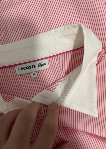 Lacoste pembe çizgili yeni gömlek - Görsel 5