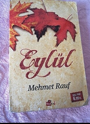 Eylül roman 