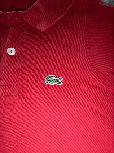 Lacoste Orjinal