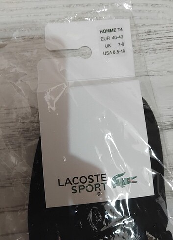 Lacoste Çorap