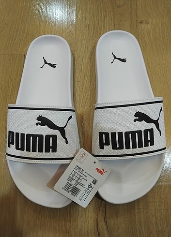 Puma Terlik