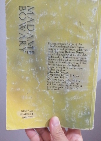 Madame bowary - Gustave Flaubert - Görsel 2
