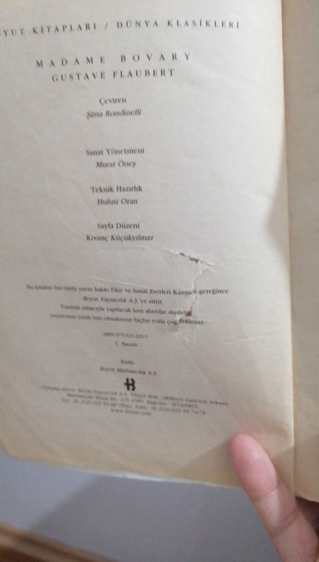 Madame bowary - Gustave Flaubert - Görsel 3
