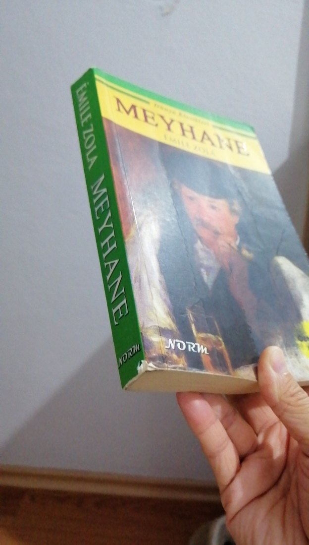 Meyhane - Émile Zola - Görsel 3