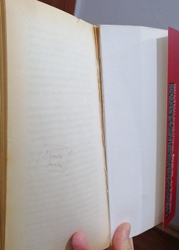 İntibah - Namık Kemal - Görsel 5