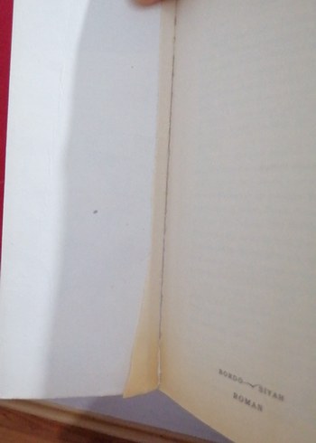 İntibah - Namık Kemal - Görsel 3