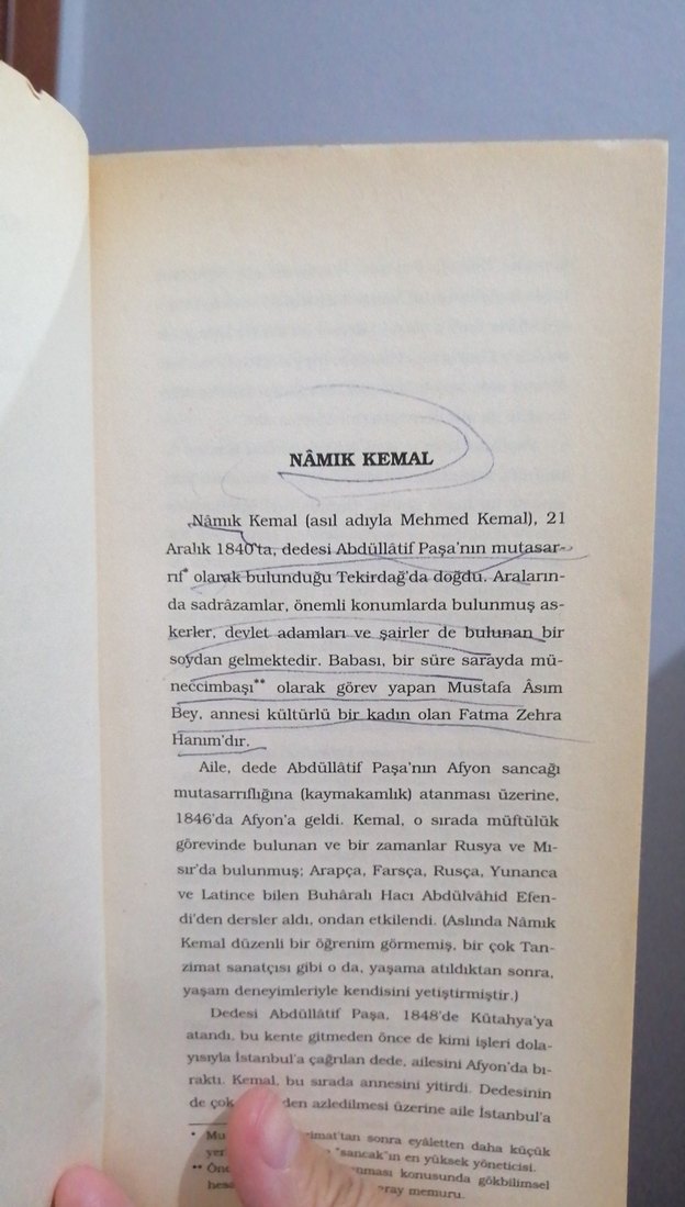 İntibah - Namık Kemal - Görsel 4