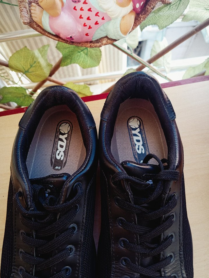 YDS ıs ayakkabısı - Görsel 2