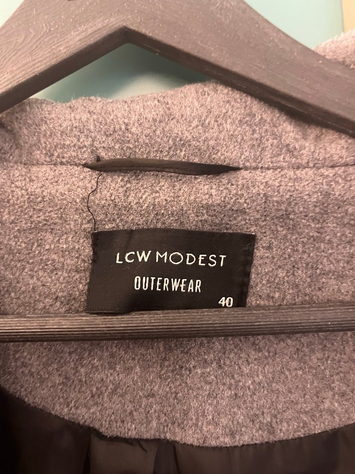 Gri Uzun Kaban - Görsel 2