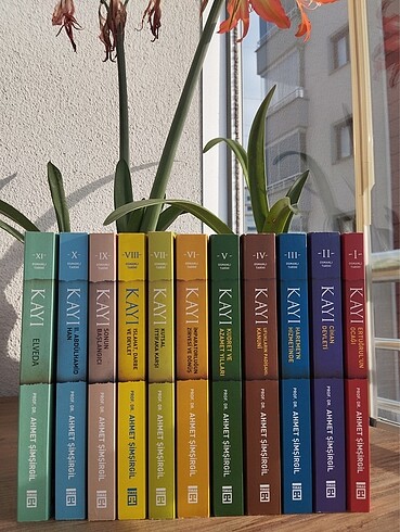Kitap Kayı Seti (11 Kitap)