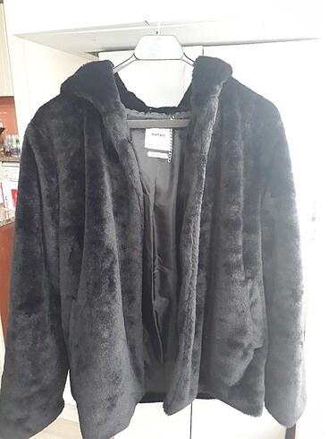 Koton pelus mont