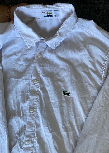 Lacoste Lacoste gömlek
