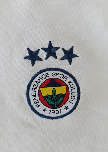Fenerium Fenerbahçe Donem Sweatshirt - Görsel 4