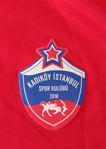 Tempo Kadıköy İstanbul Spor Dönem Ceket - Görsel 3