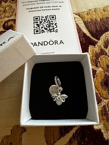 Pandora Pandora charm
