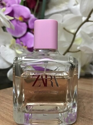 Zara wonder rose