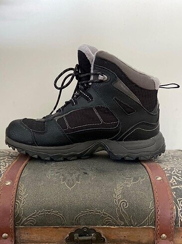 Salomon bot