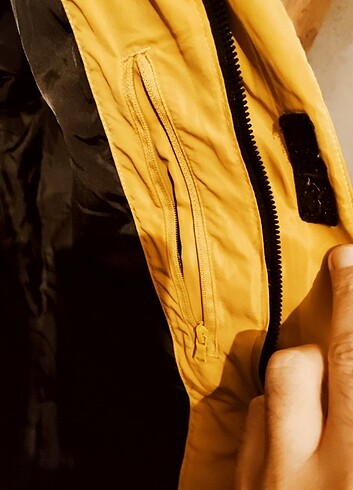 l Beden sarı Renk Pierre Cardin Mont