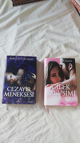 Cezayir menekşesi & çilek mevsimi 