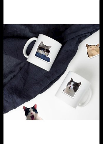 25 adet kedi sticker seti - Görsel 3