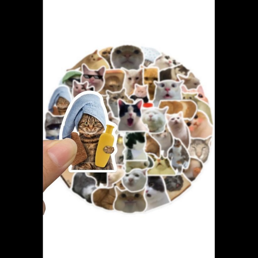 25 adet kedi sticker seti - Görsel 5