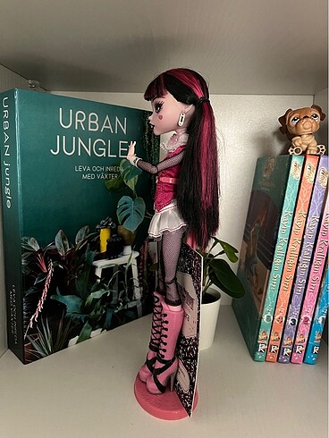 Monster high bebek