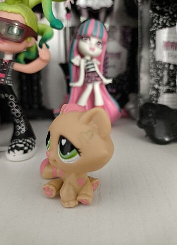 Miniş lps
