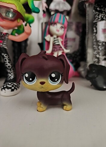 Miniş lps