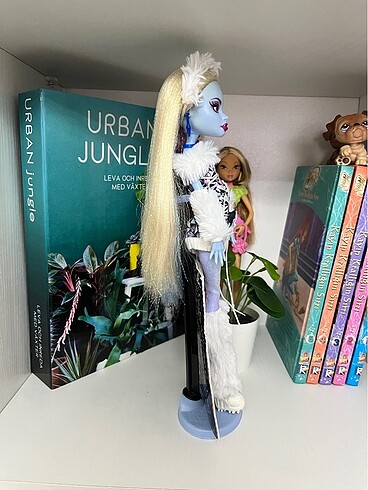  Beden Renk Monster High bebek