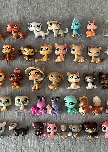 Lps miniş