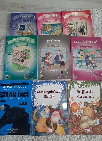 Beden Renk Cocuk kitaplari