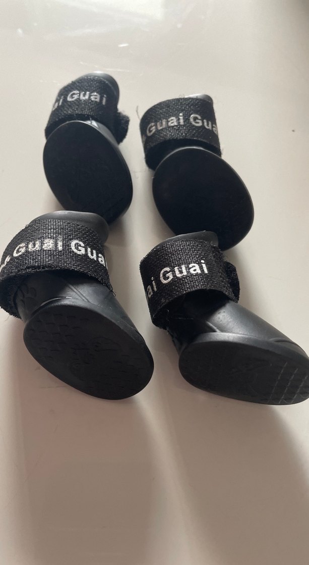 Küçük ırklar için siyah renkli   S beden bantlı köpek ayakkabısı - Görsel 4