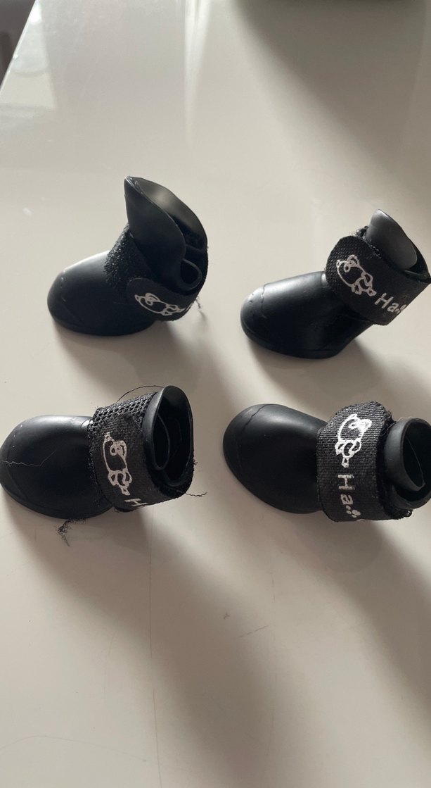 Küçük ırklar için siyah renkli   S beden bantlı köpek ayakkabısı - Görsel 2