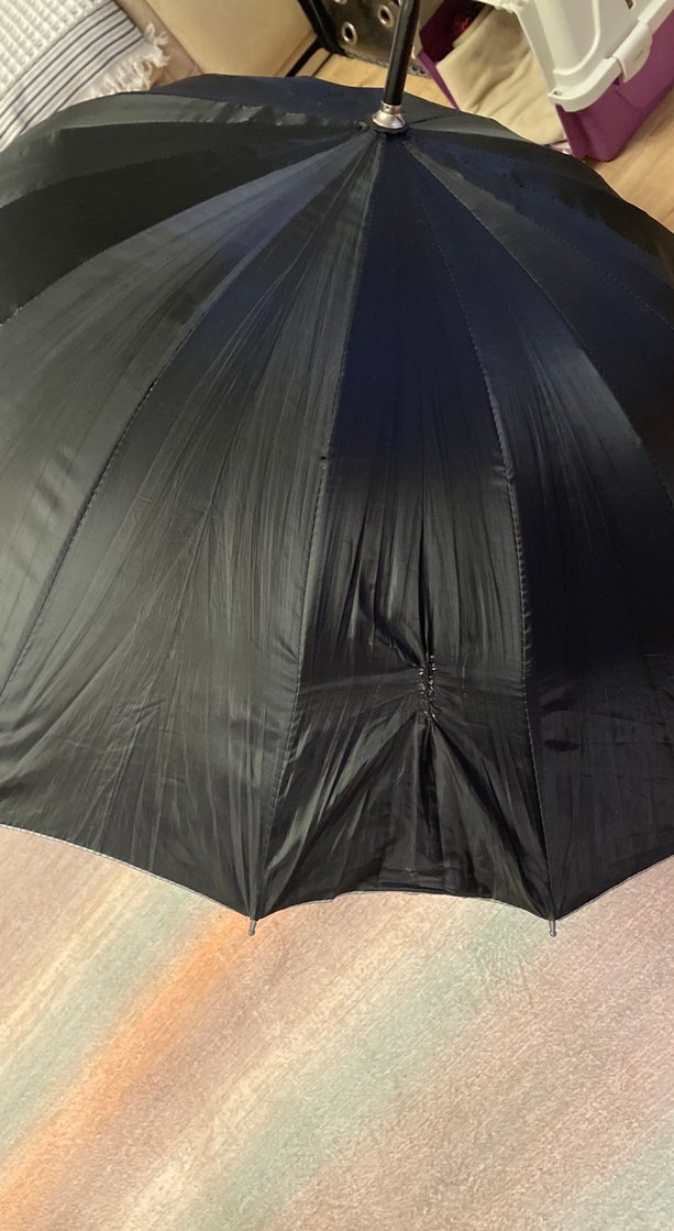 Kadın Siyah Gotik Pilili Şemsiye, ufak bir söküğü vardı diktim - Görsel 2