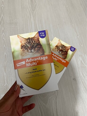 Kedi iç ve dış parazit