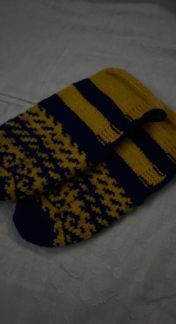 Sarı Siyah Çorap - Görsel 2