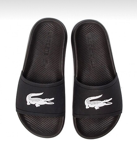 Lacoste erkek terlik