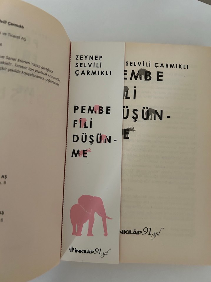 Pembe Fili Düşünme - Zeynep Selvili Çarmıklı - Görsel 2