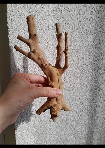 doğal yati kökü akvaryum dekor - Görsel 4