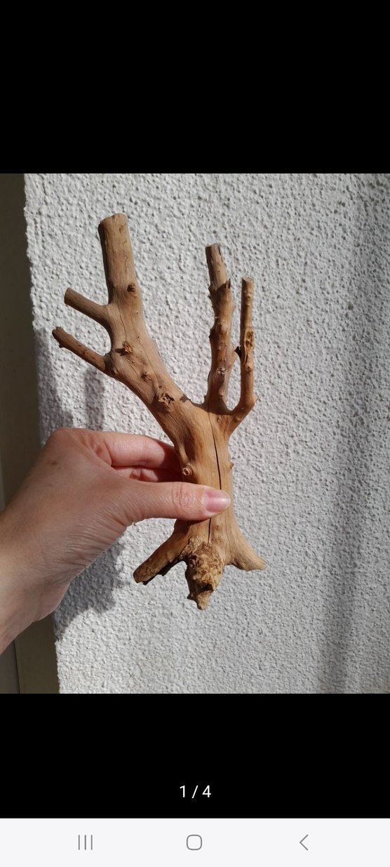 doğal yati kökü akvaryum dekor - Görsel 4