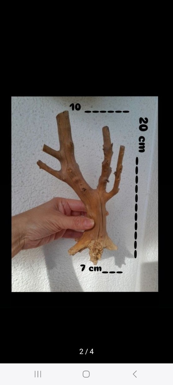 doğal yati kökü akvaryum dekor - Görsel 3