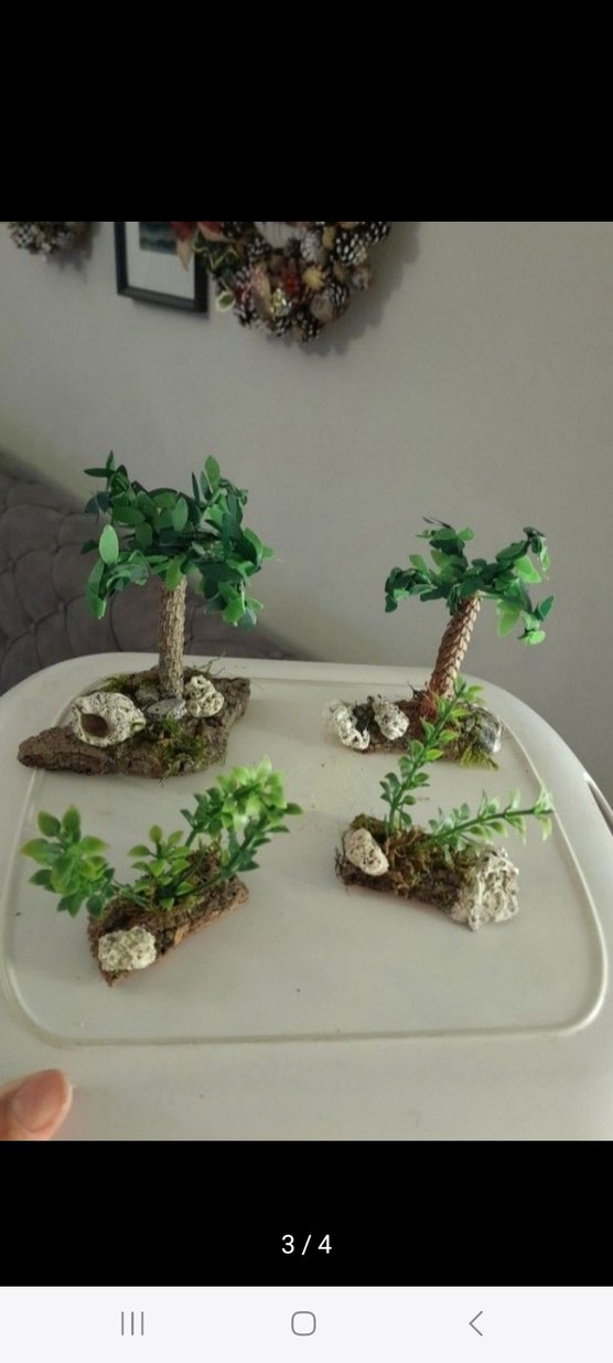 minyatür palmiye ağacı - Görsel 2