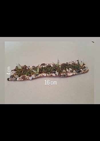 minyatür dere ve yeşil yol - Görsel 3