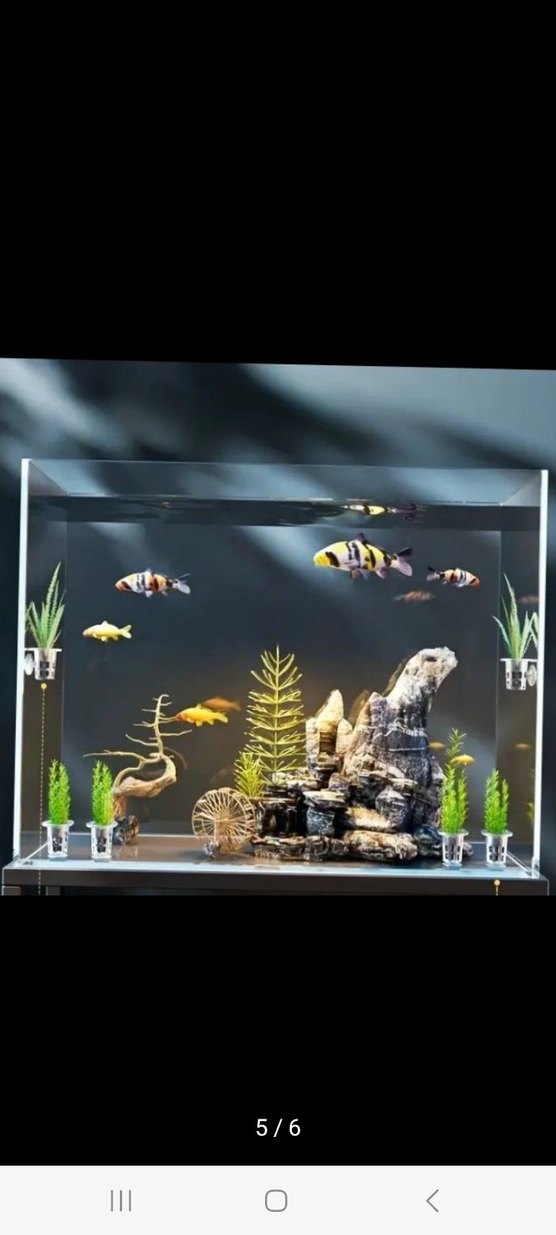 akvaryum Bitki saksısı tankı - Görsel 4