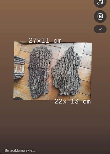 mantar meşe ağaç kabuğu corkbark - Görsel 2